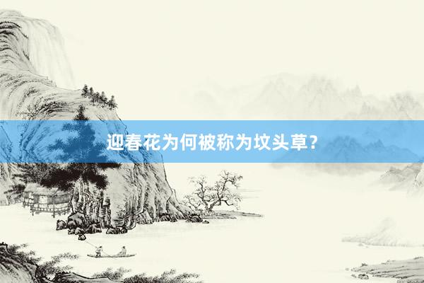 迎春花为何被称为坟头草？