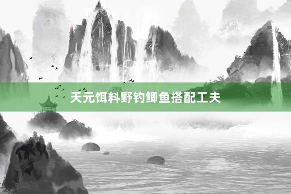 天元饵料野钓鲫鱼搭配工夫